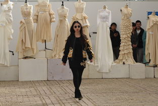 藝術設計學院2016級服裝制作工藝3職業(yè)裝課程教學匯報——服飾研發(fā)與走秀展示