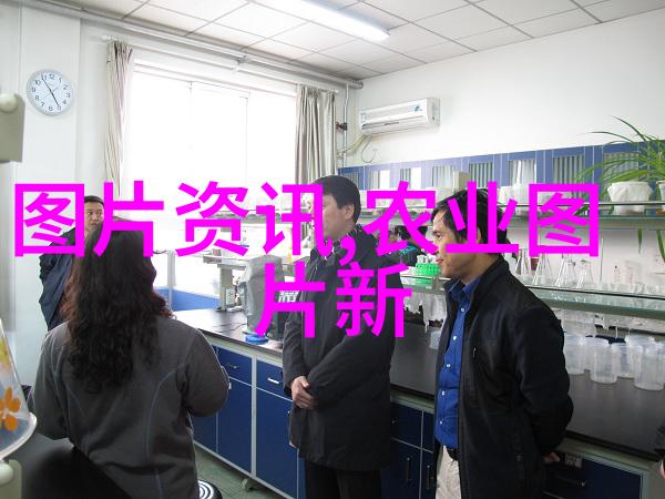 饲料所传达学习党的二十届三中全会精神