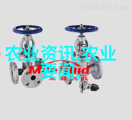 河南安阳引进水果甘蓝试种成功