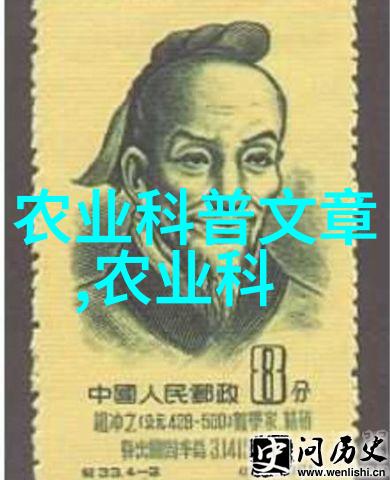 黄淮海夏玉米防除杂草促壮苗-