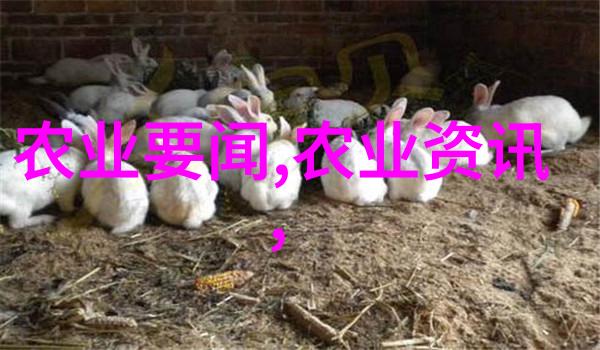 仿种子清理工作加快推进