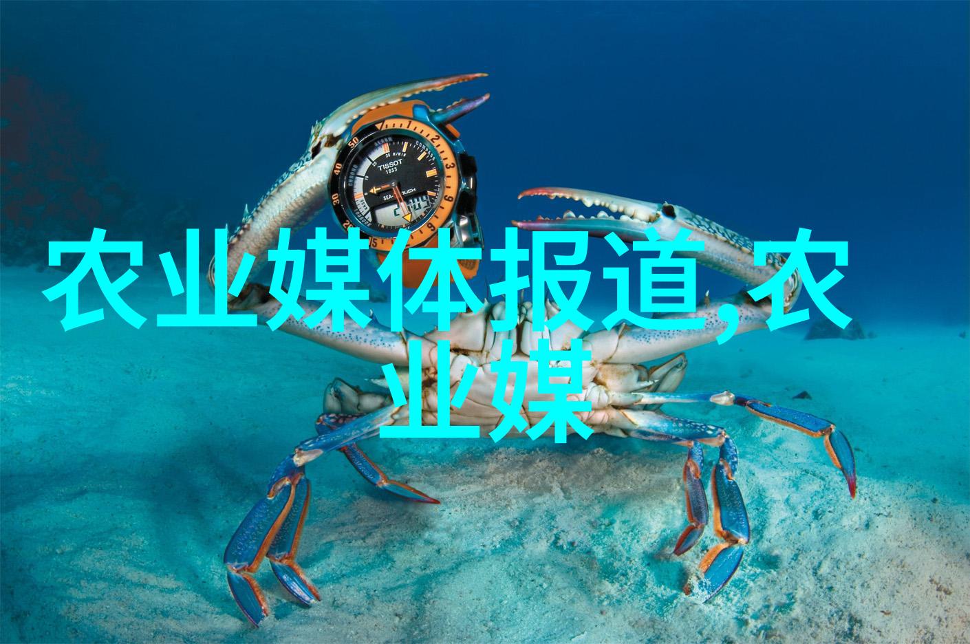 总台乡村之声田园新主张2024世界土壤日呵护土壤