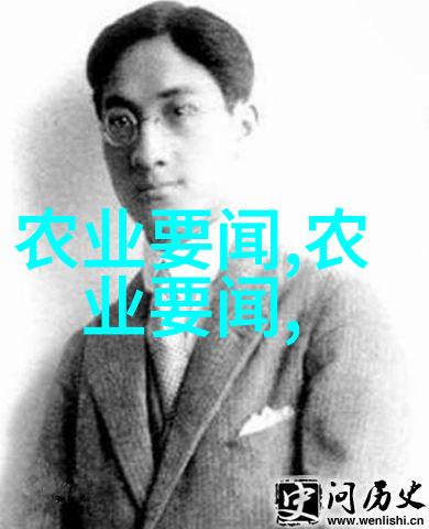 庆祝澳门回归祖国25周年文艺晚会在澳门举行 习出席观看