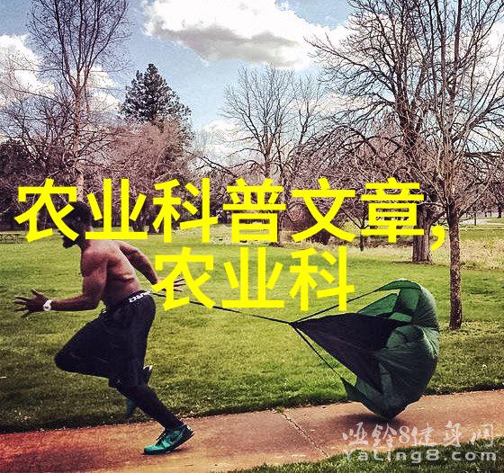 马铃薯缺素症的识别及防治-