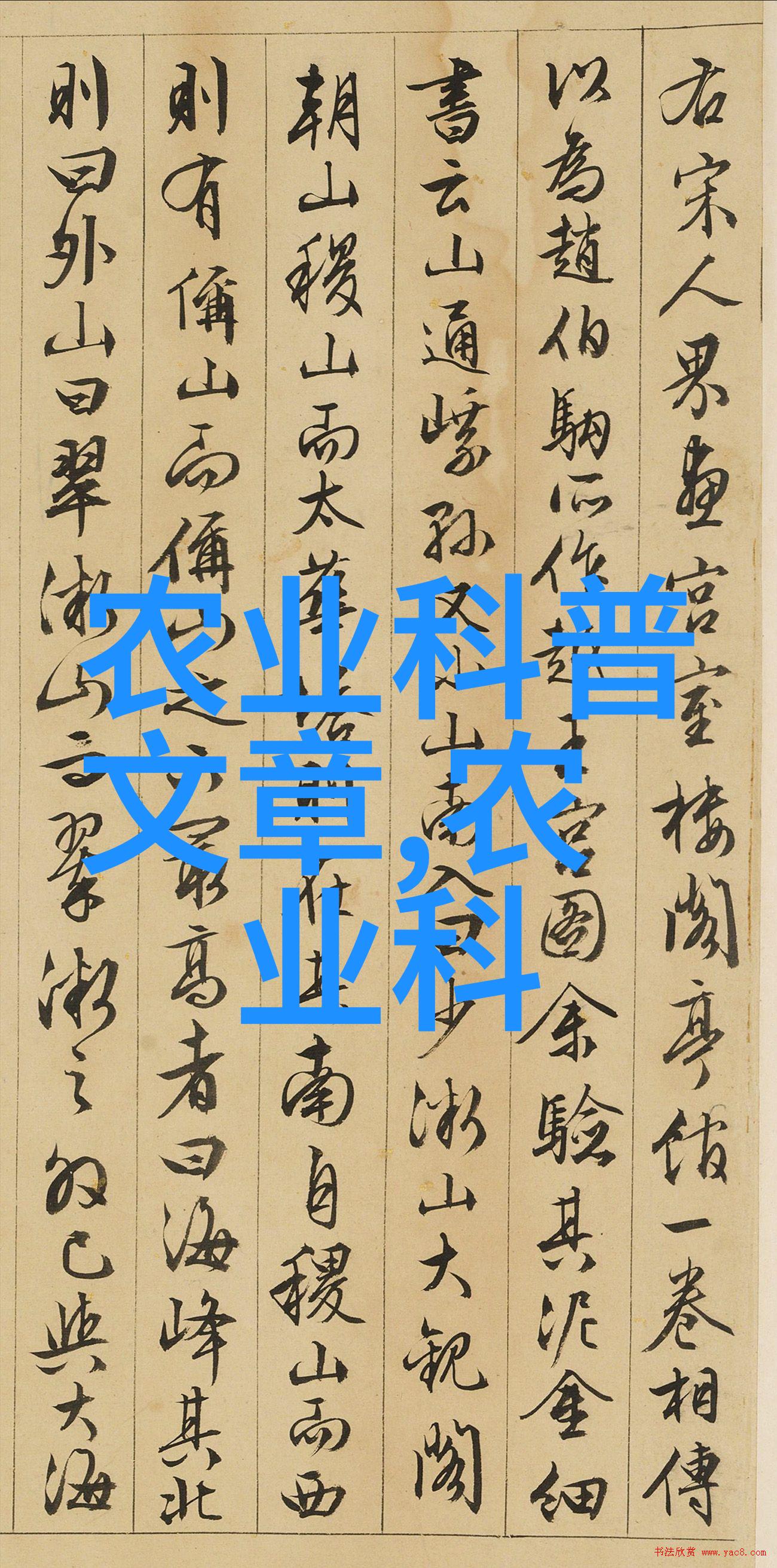 玉米育苗及管理-