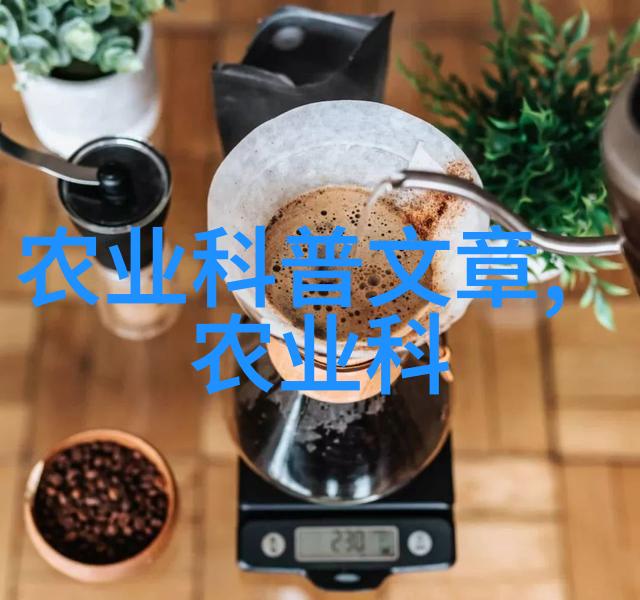一季度粮食进口有望明显减少 有利于国内粮食价格持续回升