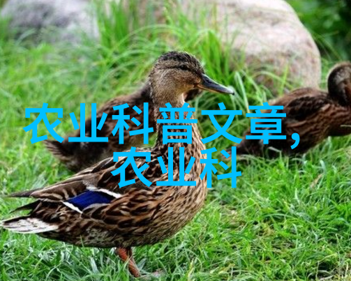 科普性文章是什么意思 科普性文章介绍