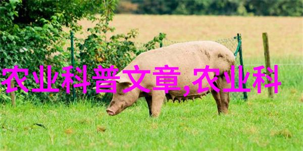 马铃薯严防害虫助增产-