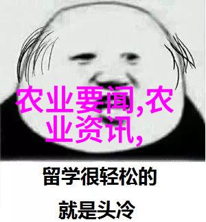 氯化钾价格小幅回落短期内继续盘整
