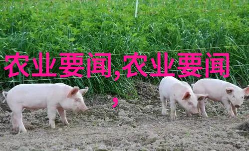 12万头奶牛的智慧生活