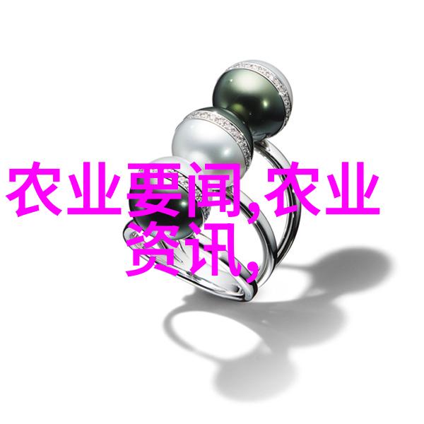 赴澳门出席庆祝澳门回归祖国25周年大会暨澳门特别行政区第六届政府就职典礼并视察澳门特别行政区