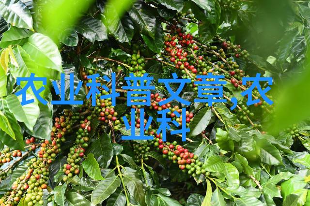冬前防治麦田红蜘蛛效果好-